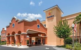 Comfort Suites The Villages The Villages Fl